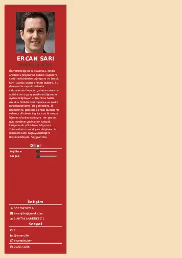 Pratisyen Hekim Cv Örnekleri cv indir